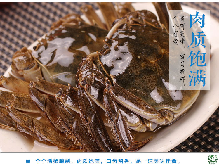 鹵河蟹(圖3)