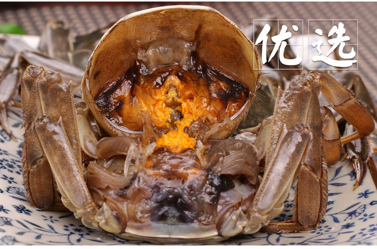 鹵河蟹(圖6)