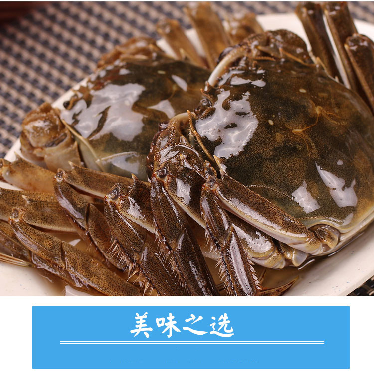 鹵河蟹(圖8)